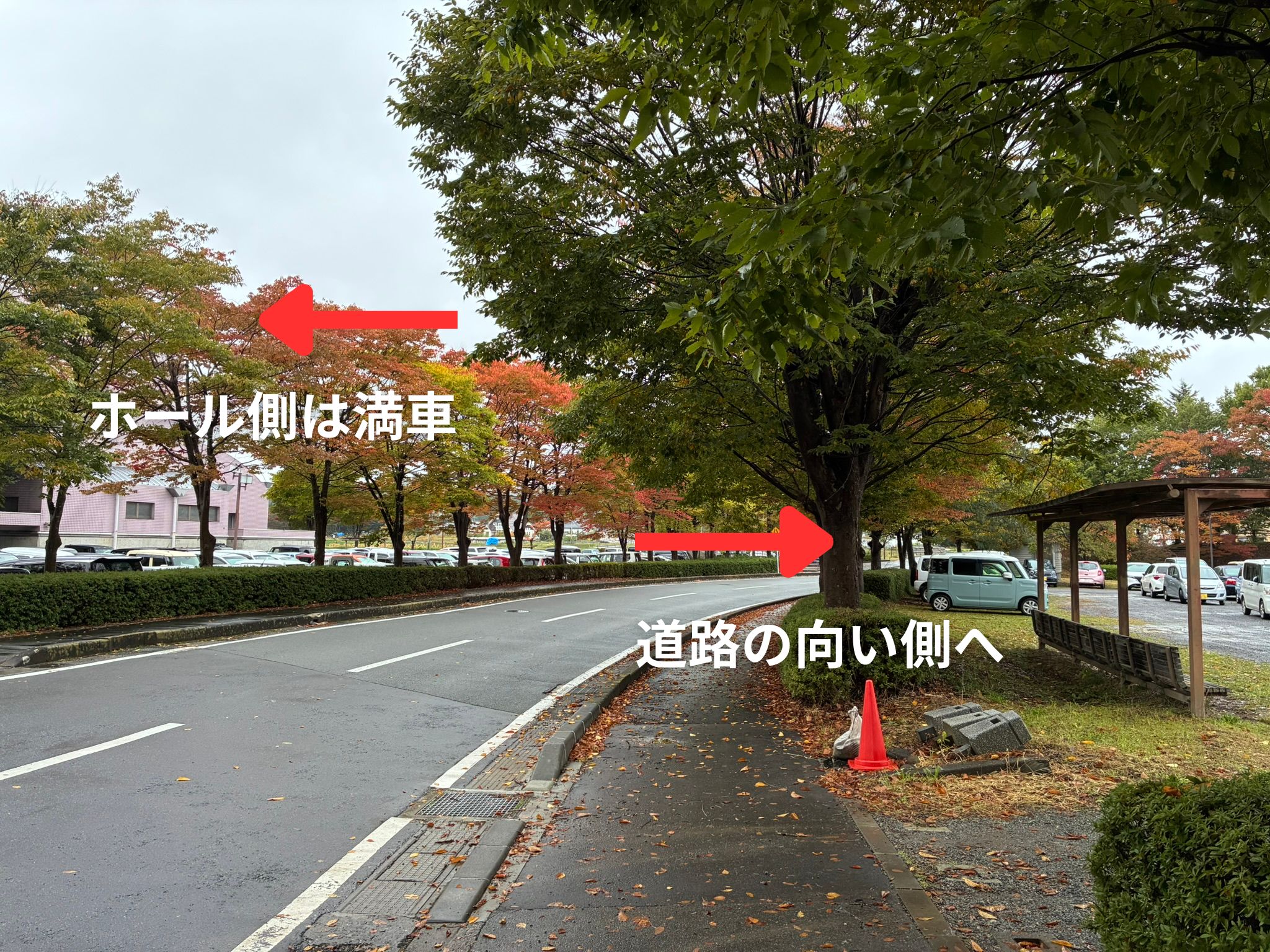 コスモホールの駐車場